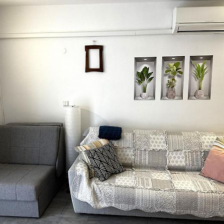 Mirta Deluxe Superior 5 Star Apartment, Your Piece Of Heaven By The Sea & Park, With Sea & Park View Novigrad Istria Exteriör bild