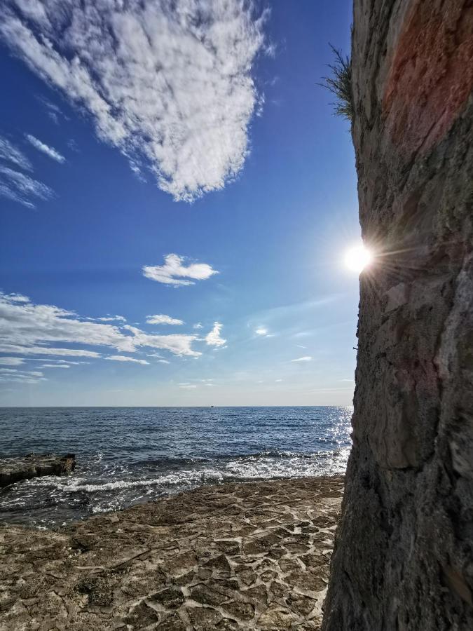 Mirta Deluxe Superior 5 Star Apartment, Your Piece Of Heaven By The Sea & Park, With Sea & Park View Novigrad Istria Exteriör bild