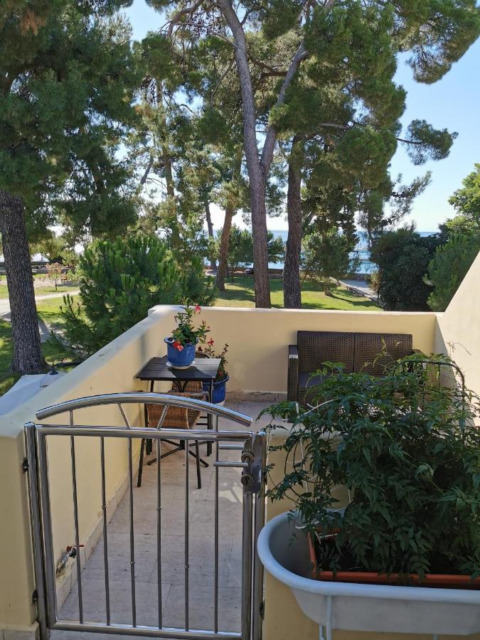 Mirta Deluxe Superior 5 Star Apartment, Your Piece Of Heaven By The Sea & Park, With Sea & Park View Novigrad Istria Exteriör bild
